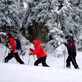 Klang und Natur vereint