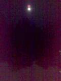 100120091771.jpg